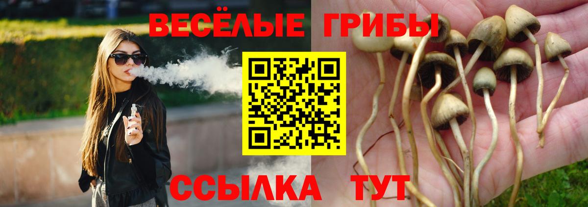 Каспийск  Псилоцибиновые грибы прущие грибы  Вход с VPN 